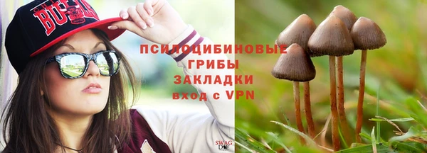 mdma Бородино