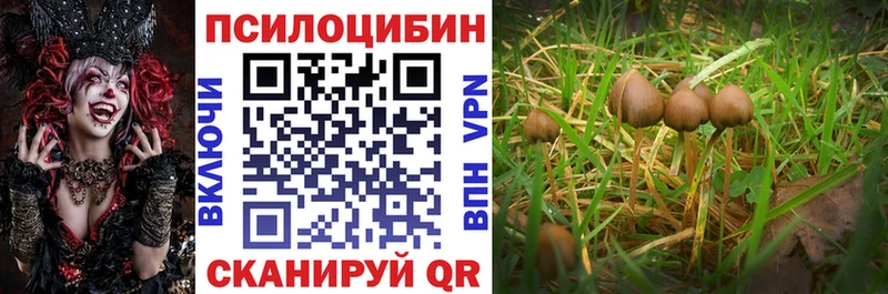 Псилоцибиновые грибы Magic Shrooms  где купить   Дзержинский 